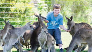 Hành trình lịch Úc 6 ngày đang được yêu thích nhất