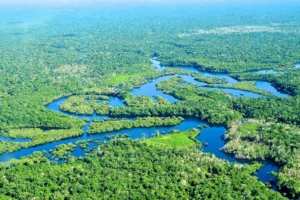 QUẦN ĐẢO NGOÀI HÀNH TINH GALAPAGOS VÀ 1 TRONG 7 KỲ QUAN THIÊN NHIÊN THẾ GIỚI SÔNG AMAZON