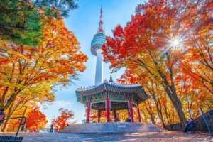 HÀNH HƯƠNG HÀN QUỐC