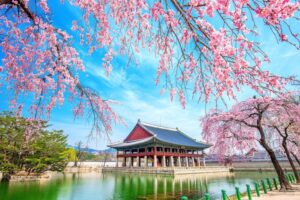 Tour du lịch Hàn Quốc