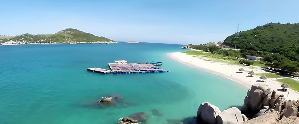 Bình Hưng, Nha Trang