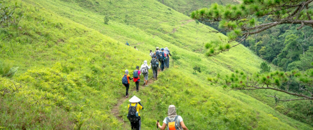 Rừng Sa Pa