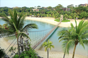 Vé máy bay đi Singapore có nhiều lựa chọn từ TP.HCM, Hà Nội, Đà Nẵng