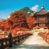 KHÁM PHÁ XỨ SỞ KIM CHI HÀN QUỐC