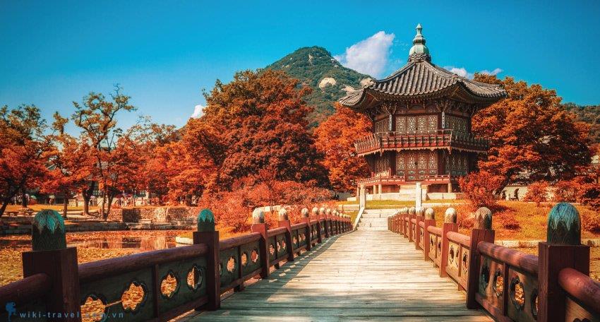 KHÁM PHÁ XỨ SỞ KIM CHI HÀN QUỐC